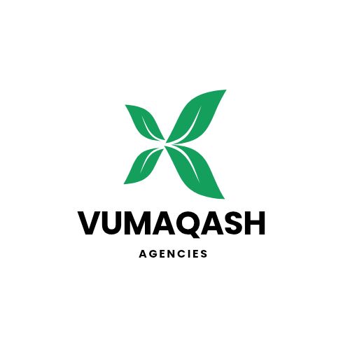 Top FAQs About VumaQash Agencies Answered (2025 Edition)